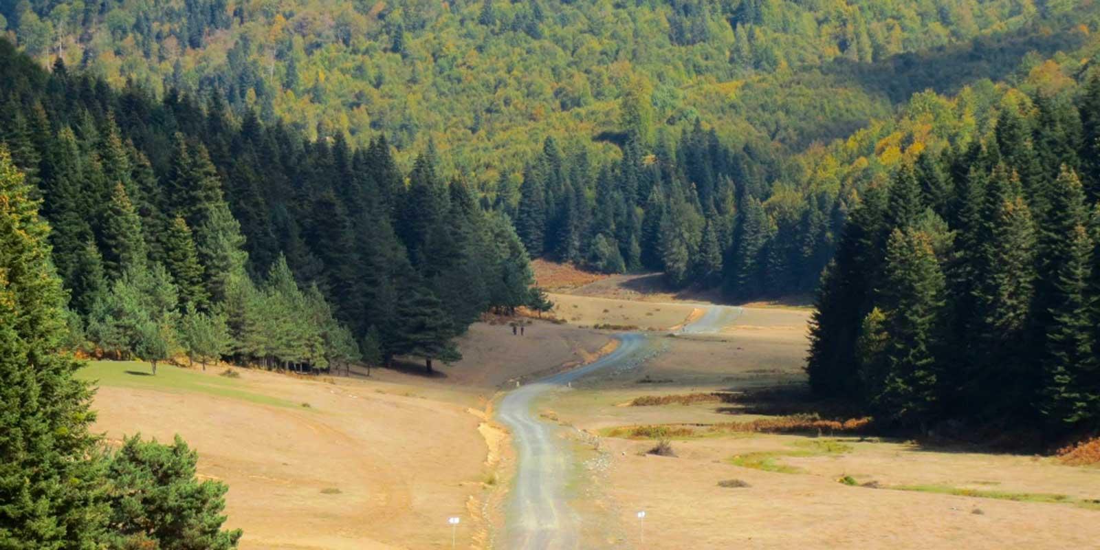 İnönü Yaylası