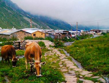 Yukarı Kavrun Yaylası