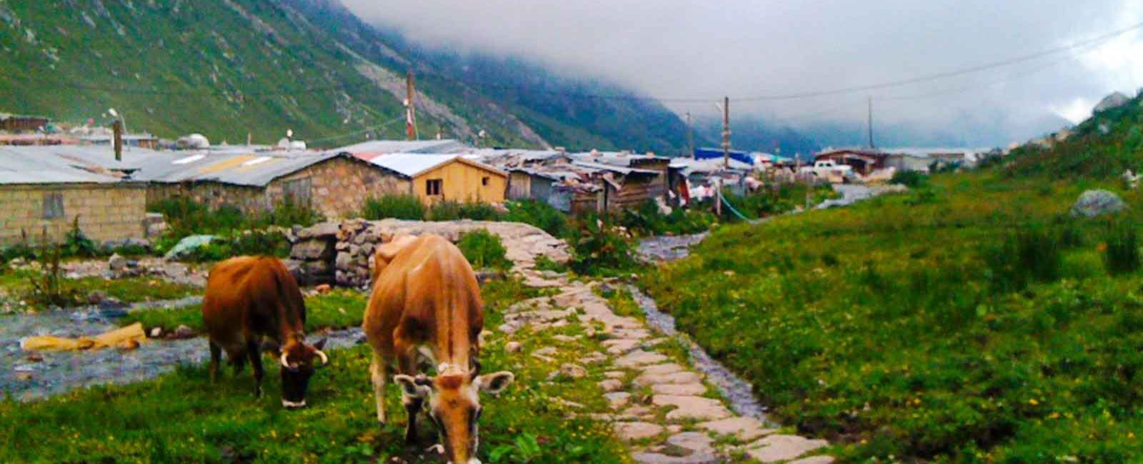 Yukarı Kavrun Yaylası