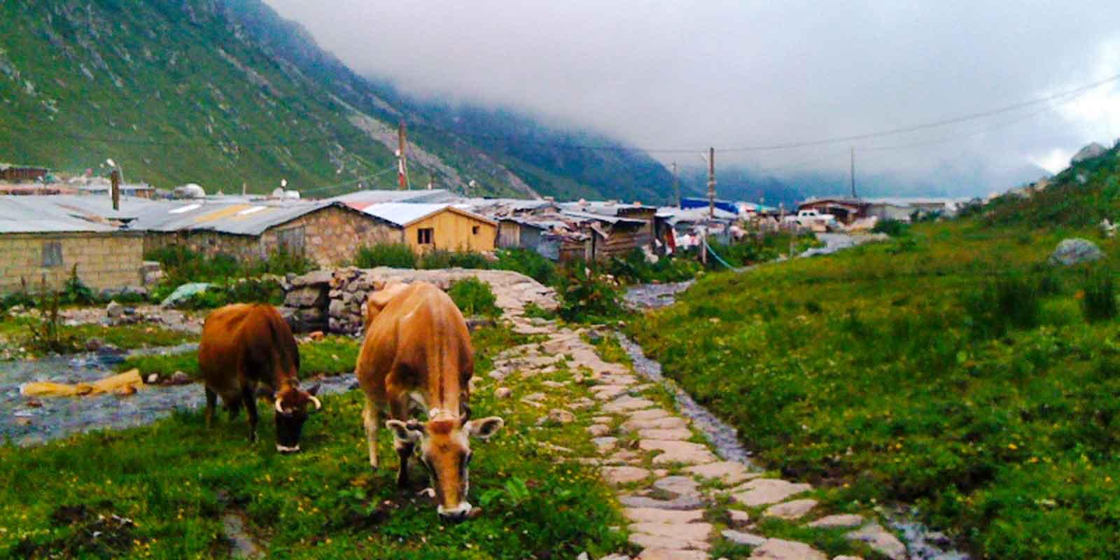 Yukarı Kavrun Yaylası