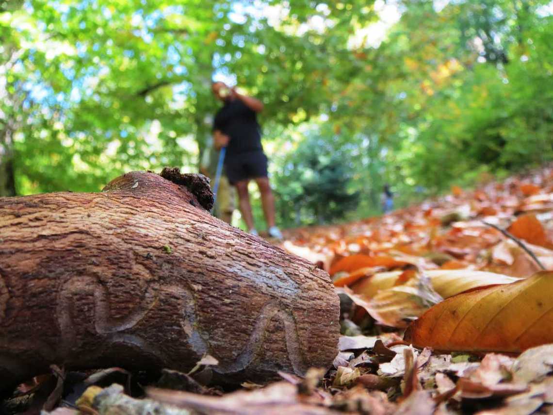 inonu yayalasi 2013 sonbahar yuruyus