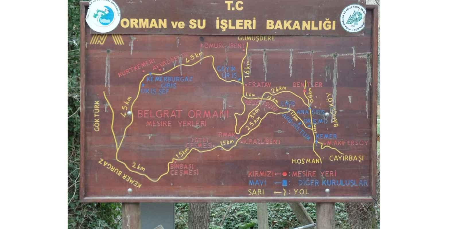 Belgrad Ormanları