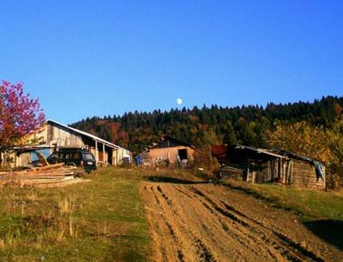 Mahcup, Şaşkın ve Mutlu