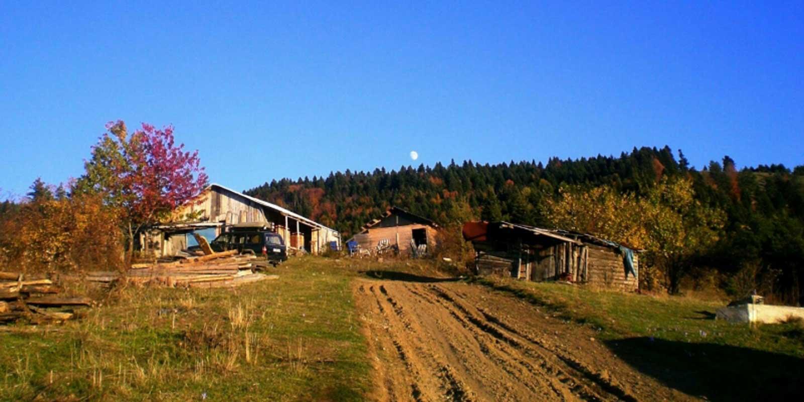 Mahcup, Şaşkın ve Mutlu