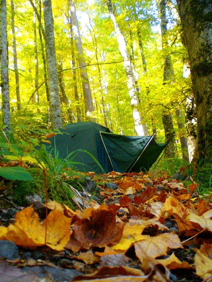 bolu yedigoller trekking cadir kampi