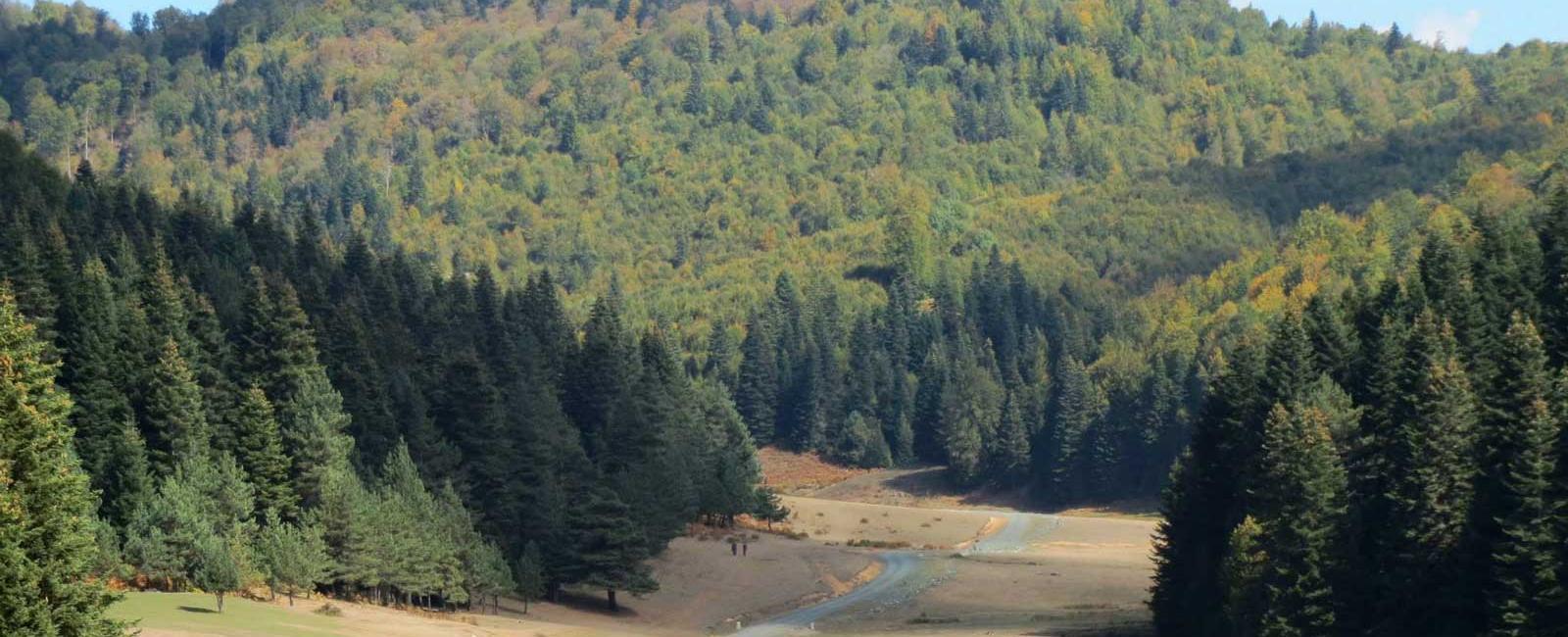 İnönü Yaylası Sonbahar Kampı