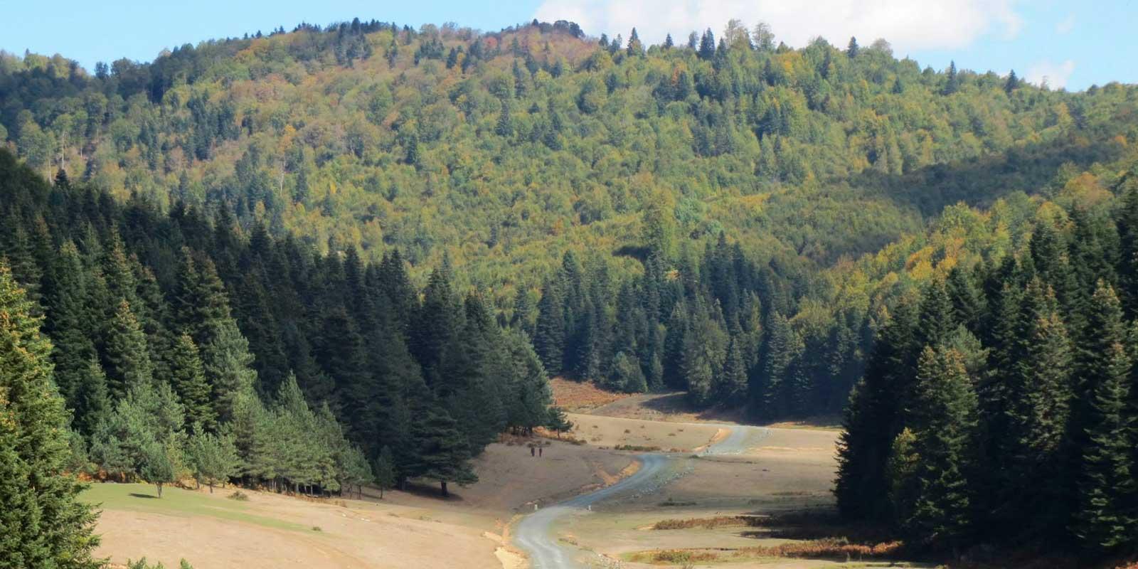 İnönü Yaylası Sonbahar Kampı