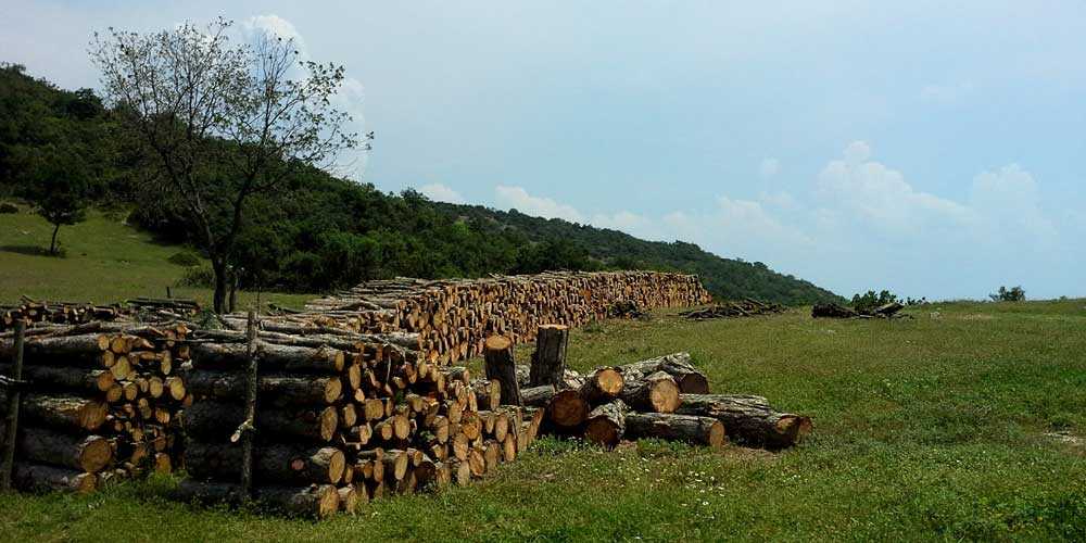 iznik trekking 2014 sansarak odunlar