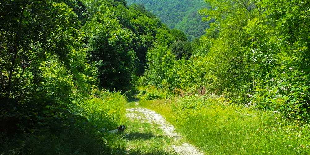 iznik trekking 2014 patika