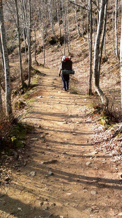 erikli yaylasi cifte selaleler trekking toprak yol 2014
