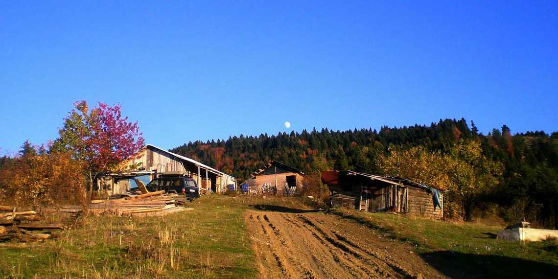 bolu yedigoller trekking yol ustu yayla